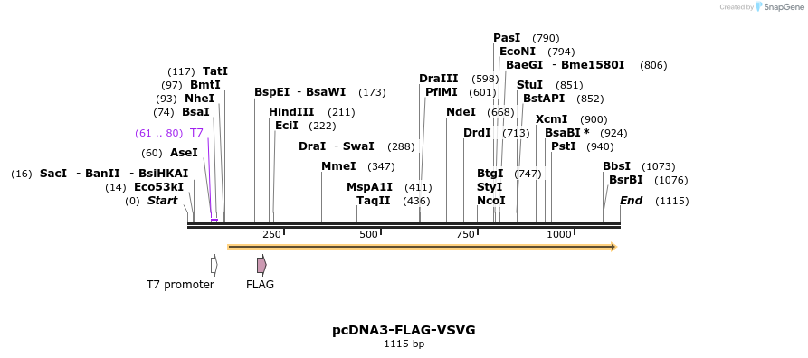 156613_map