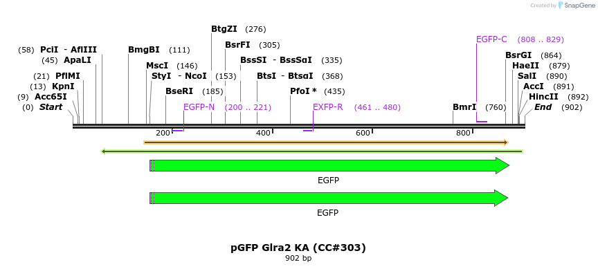 156619_map