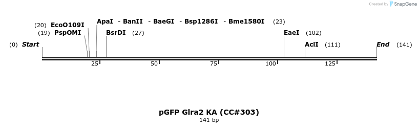 156620_map