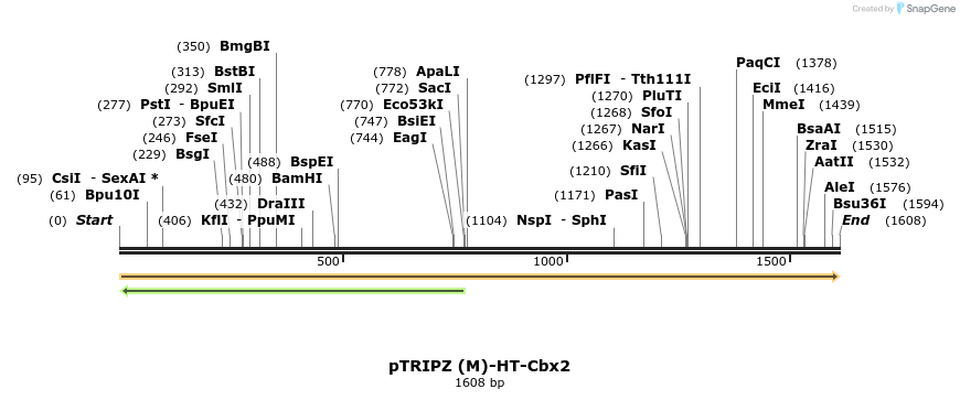 156627_map
