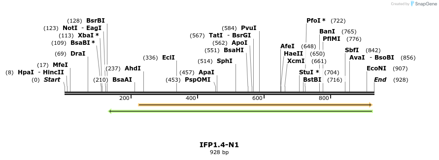 156632_map