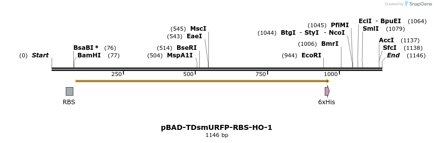 156646_map