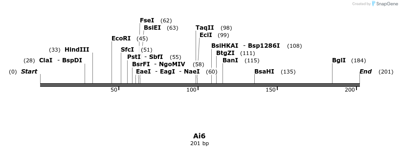 156661_map