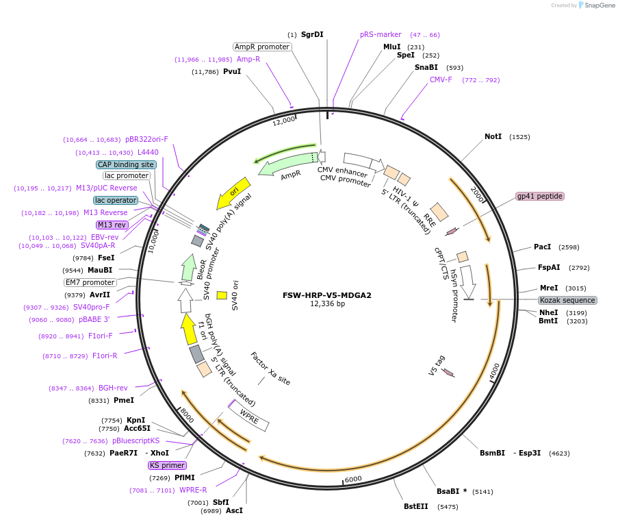 156674_map