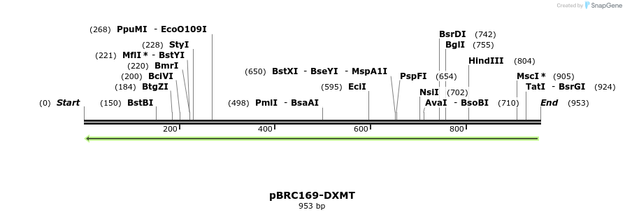 156684_map