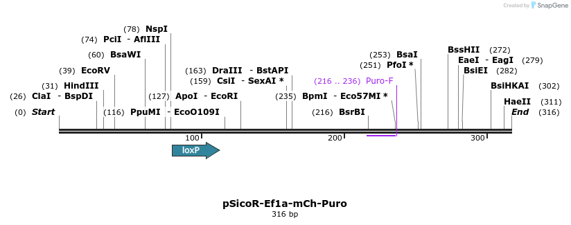 156693_map