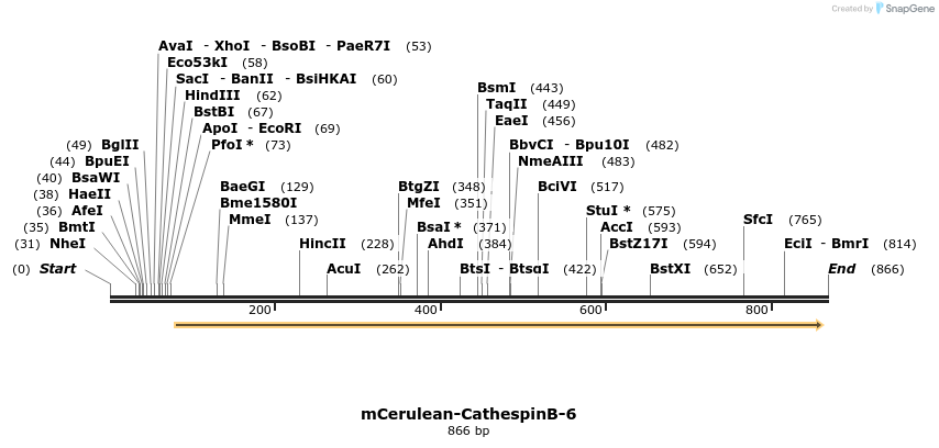 156694_map
