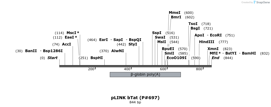 156700_map