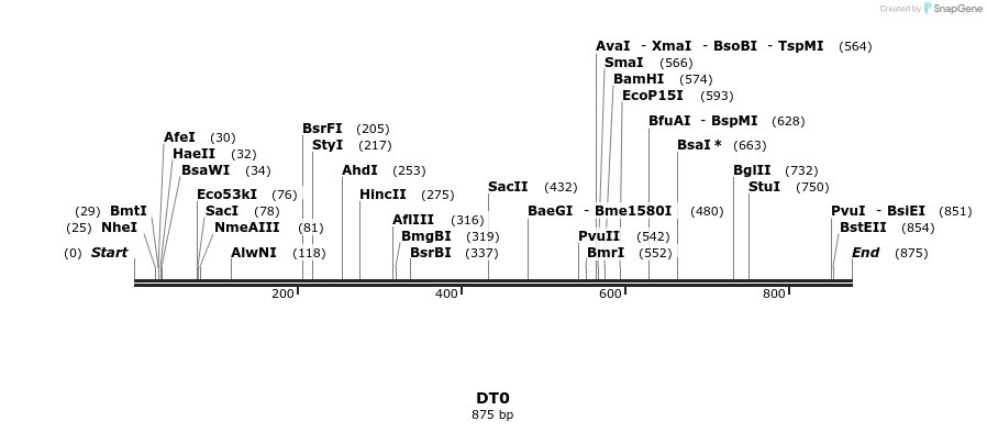 156721_map
