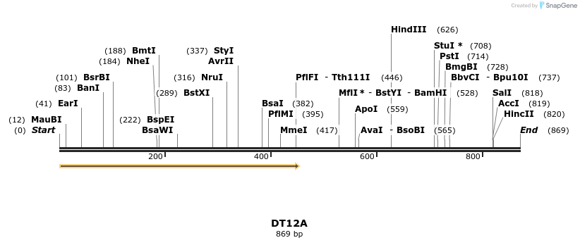 156732_map