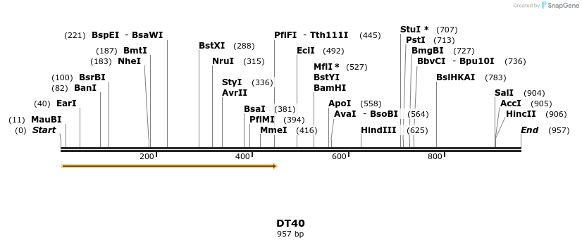 156735_map