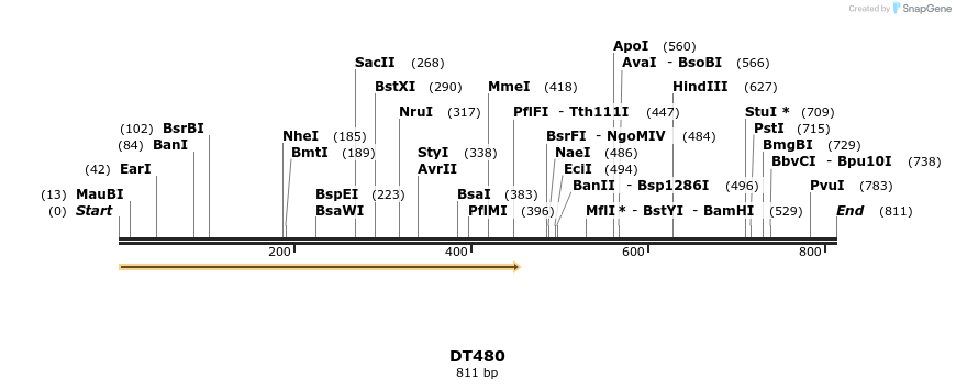 156745_map