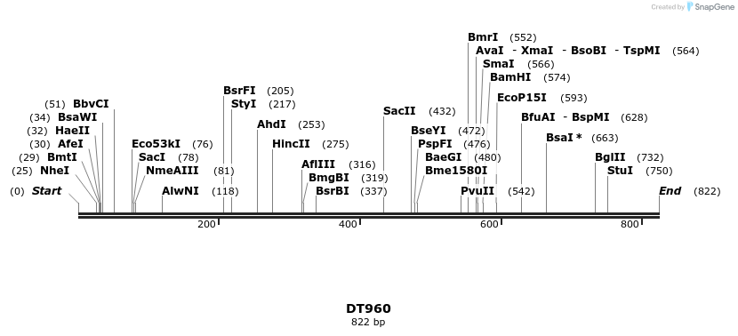 156746_map