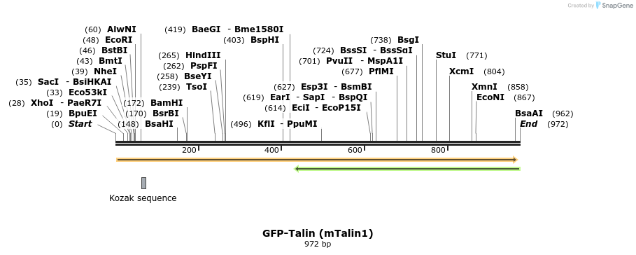 156747_map
