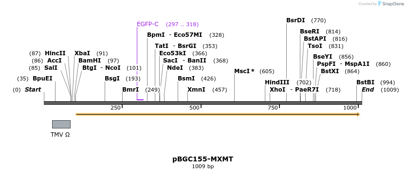 156750_map