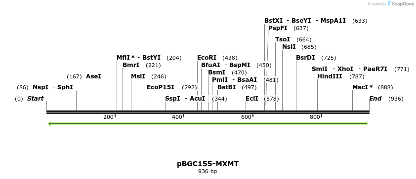 156752_map