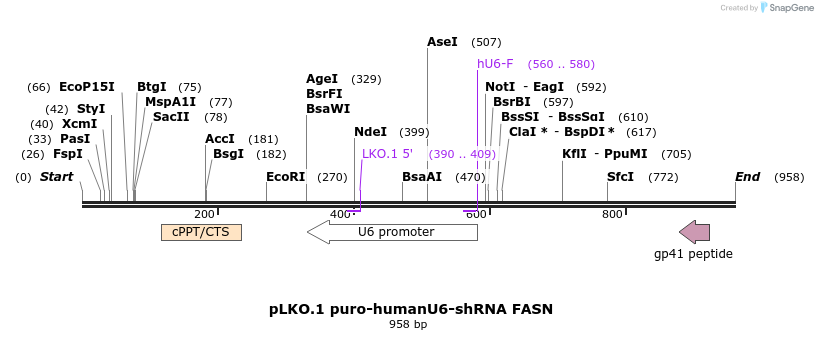 156758_map