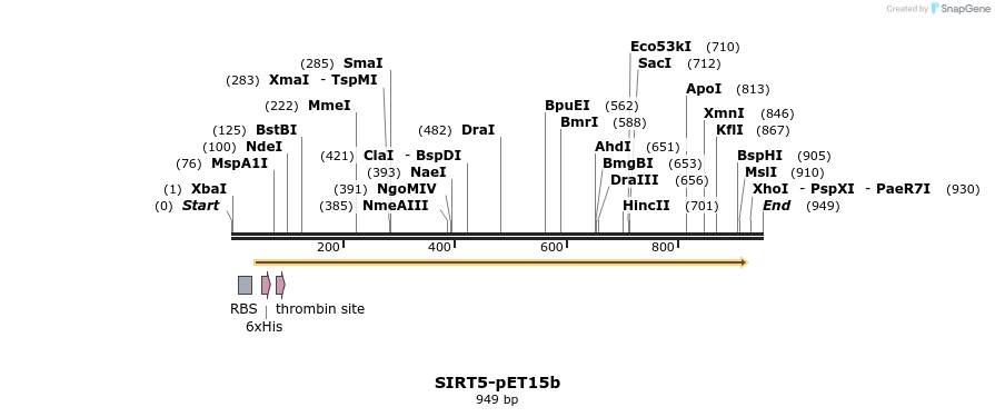 156763_map