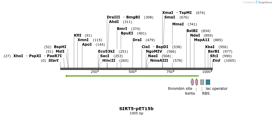 156764_map