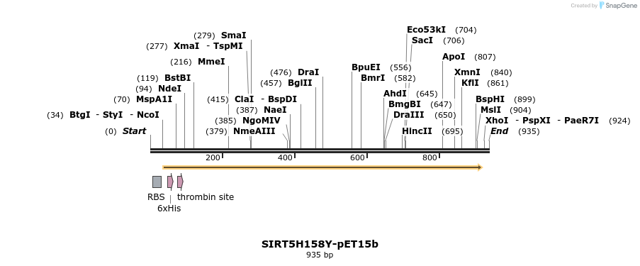 156766_map
