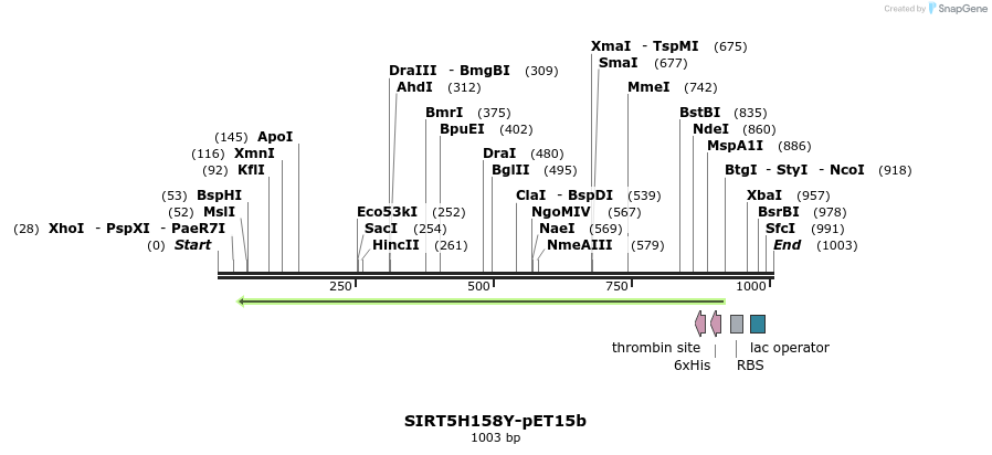 156767_map
