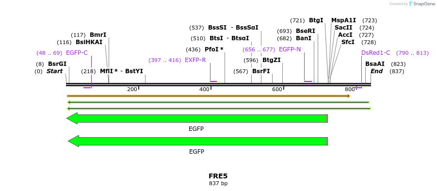 156770_map