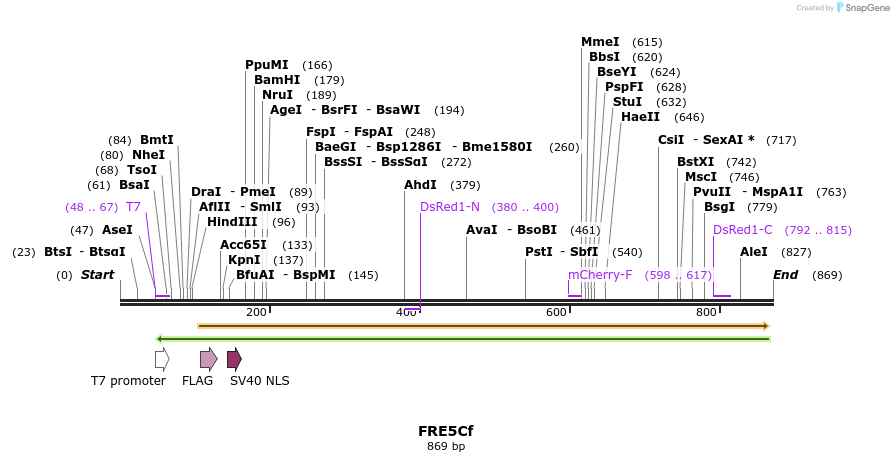 156771_map
