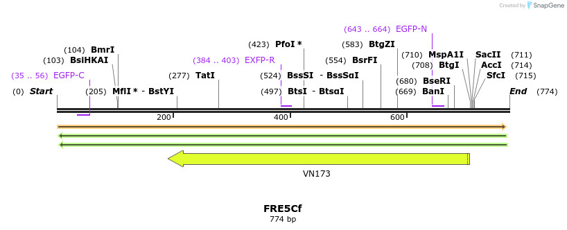 156772_map