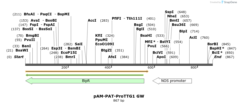 156774_map
