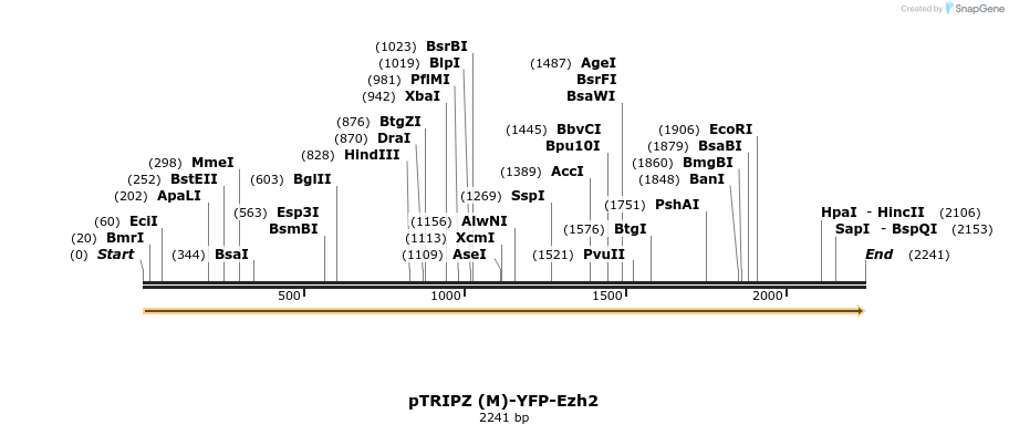 156777_map