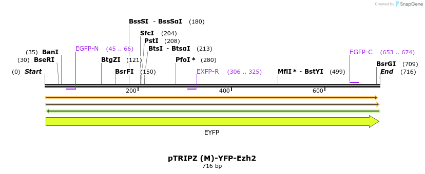 156778_map