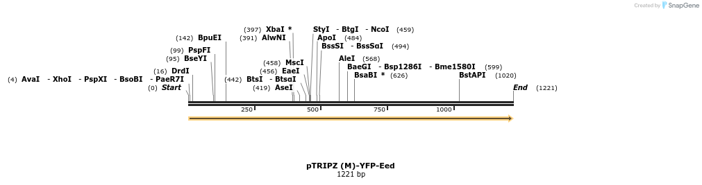 156781_map