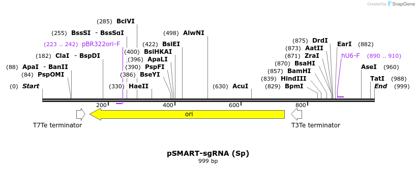 156786_map