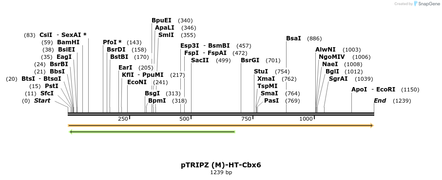 156789_map
