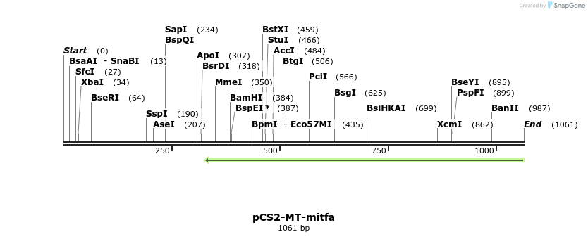 156813_map