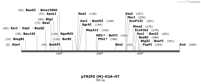 156817_map