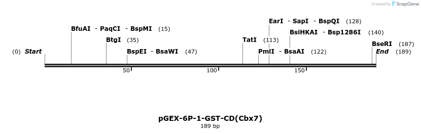 156819_map