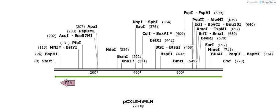 156850_map