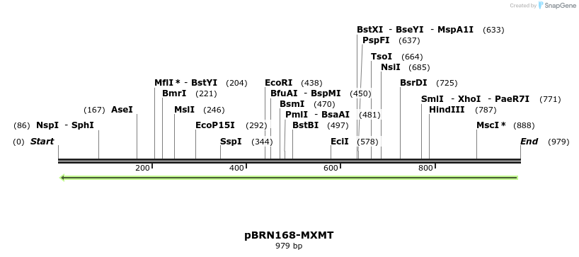 156881_map
