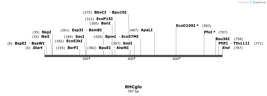 156892_map