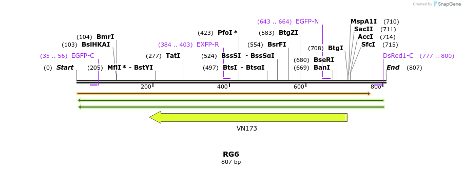 156894_map