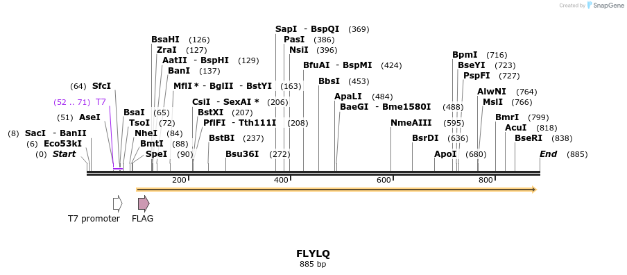 156896_map
