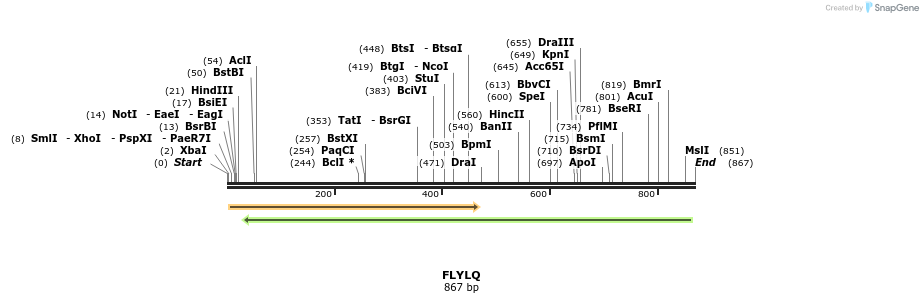 156897_map