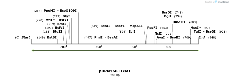 156905_map