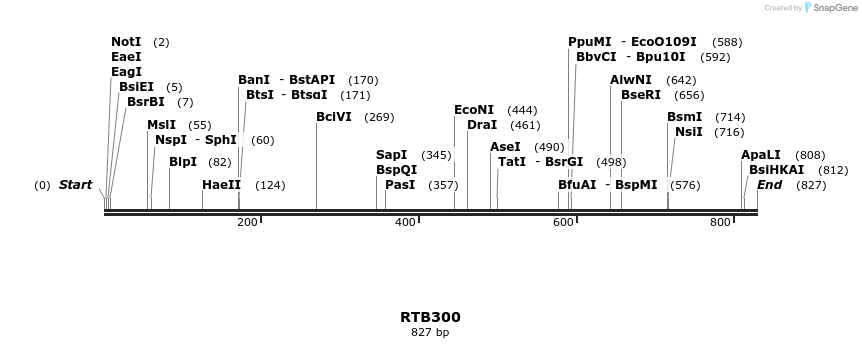 156906_map