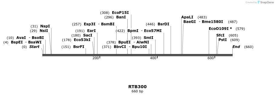 156908_map