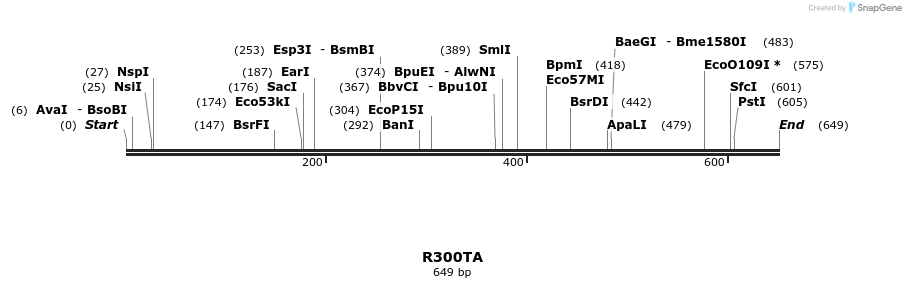 156914_map