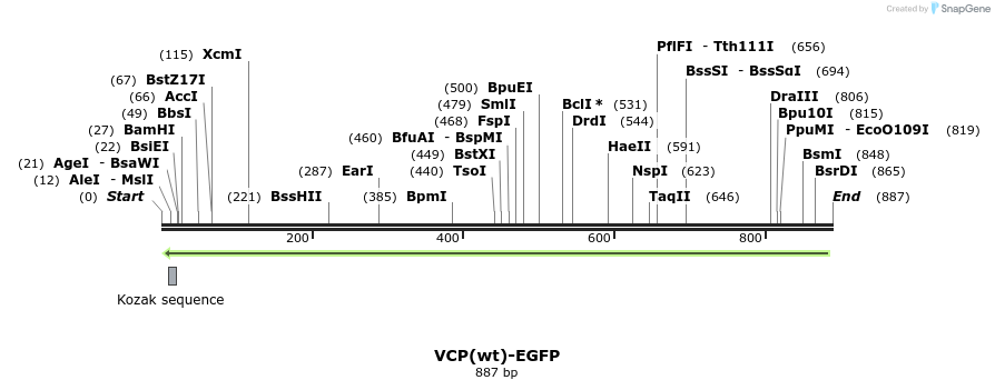 156917_map