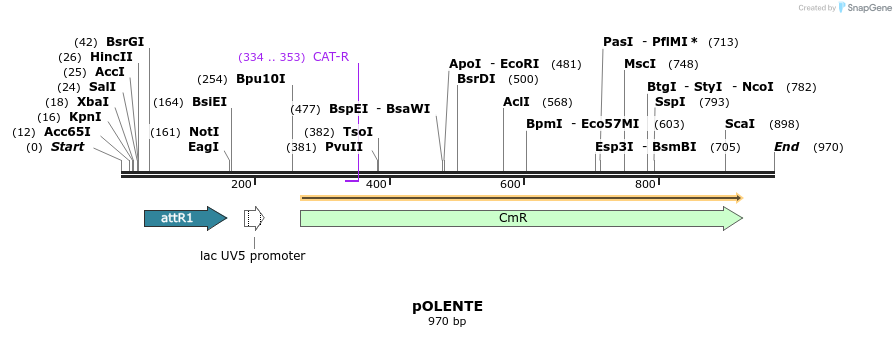 156918_map