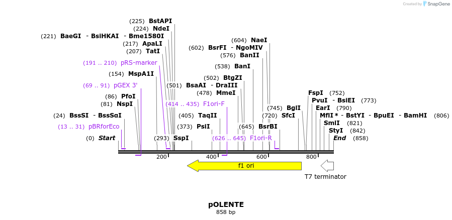 156919_map